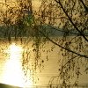 Meine Fotos-0010